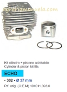 assieme cilindro pistone echo