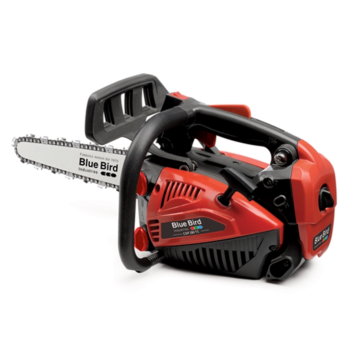 MOTOSEGA CSP 280T CARVING blue bird MOTOSEGA CSP 280T CARVING blue bird