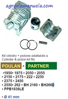 ASSIEME CILINDRO PISTONE 