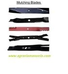 alegato lame rasaeba trattorini alegato lame rasaeba trattorini